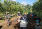 TMMD Ke-128 Kodim Karangasem Sulap Lahan Tidur Jadi Kebun Jagung Produktif, Warga Desa Pempatan Sambut Antusias